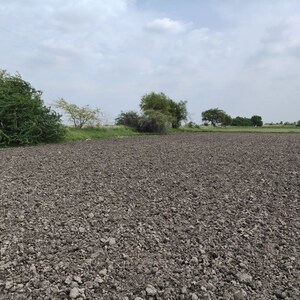 Plot Area in  Land at Pali Road – for Sale