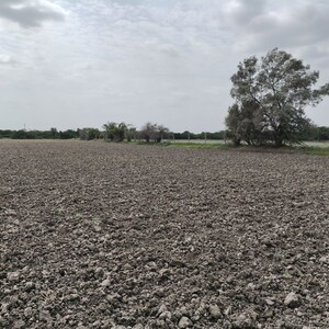 Plot Area in  Land at Pali Road – for Sale