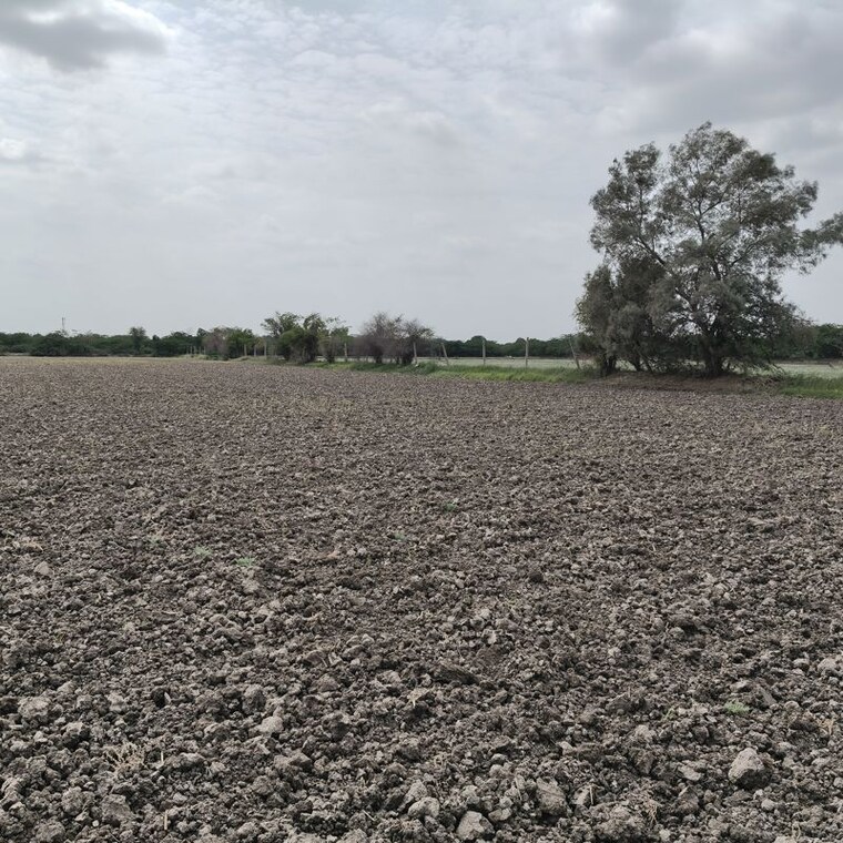 undefined, pali road Commercial Land 57 Acre In Pali Road Jodhpur 10709045