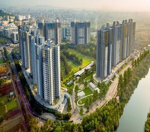 1 BHK Apartment For Rent in Paranjape Blue Ridge, Hinjewadi