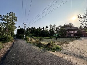 Plot Area in  Plot at Nellayi – for Sale