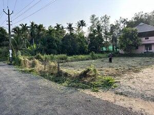 Plot Area in  Plot at Nellayi – for Sale