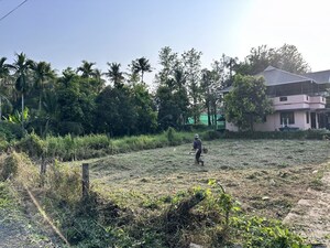 Plot Area in  Plot at Nellayi – for Sale