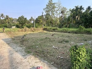  Plot For Sale in Nellayi