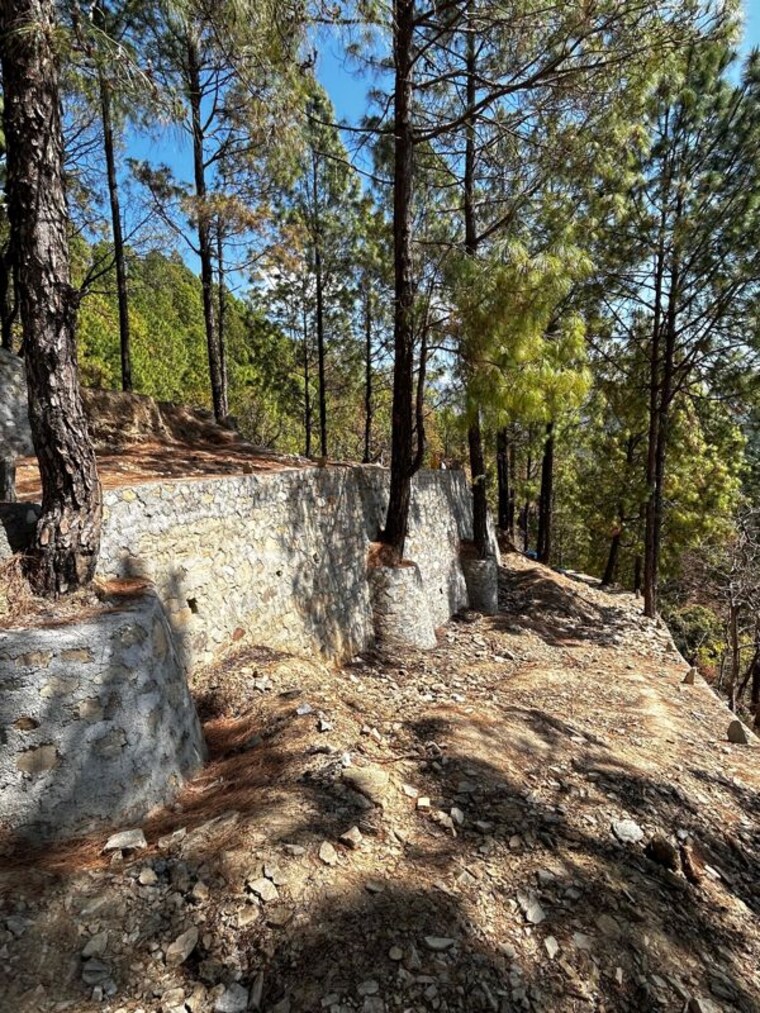 undefined, lansdowne  100 Sq.Yd. Plot In Lansdowne PauriGarhwal 10648918