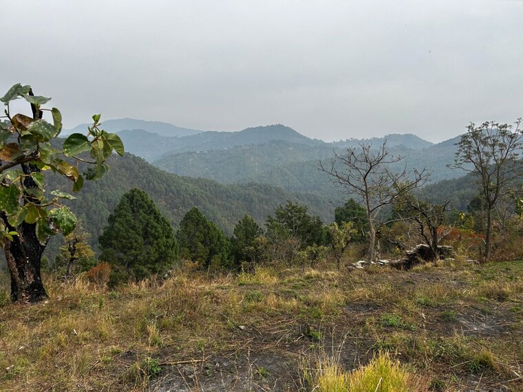 undefined, lansdowne  100 Sq.Yd. Plot In Lansdowne PauriGarhwal 10648918