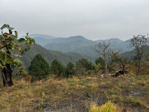 Plot Area in  Plot at Lansdowne – for Sale