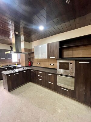 Kitchen in 5 BHK Apartment at Dasnac The Jewel, Sector 75 – for Rent
