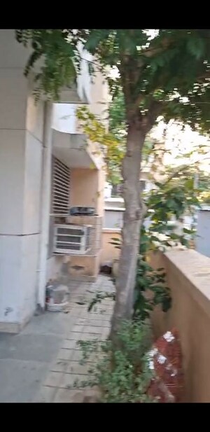 3 BHK Builder Floor For Sale in BPTP Park Elite Floors, Sector 85