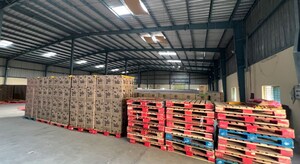  Warehouse – Exterior View View at Daladili - for Rent