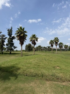  Plot – Garden View at Supertech Golf Country Plots, Sector 22b Yamuna Expressway - for Sale