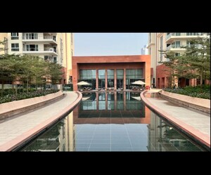 Swimming Pool in 3 BHK Apartment at Conscient Hines Elevate, Sector 59 – for Rent