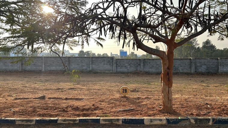 undefined, hancharahalli  2326 Sq.Ft. Plot In Hancharahalli Bangalore 10709907