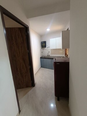 Kitchen in 1 BHK Apartment at Saket – for Rent