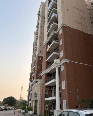  Showroom – Exterior View View at Ambika Florence Park, North Mullanpur - for Sale