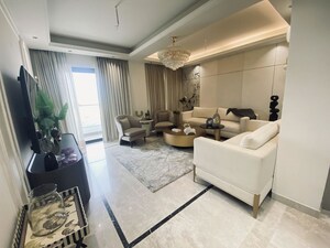 Team Area in 4 BHK Builder Floor at Sector 22 – for Rent