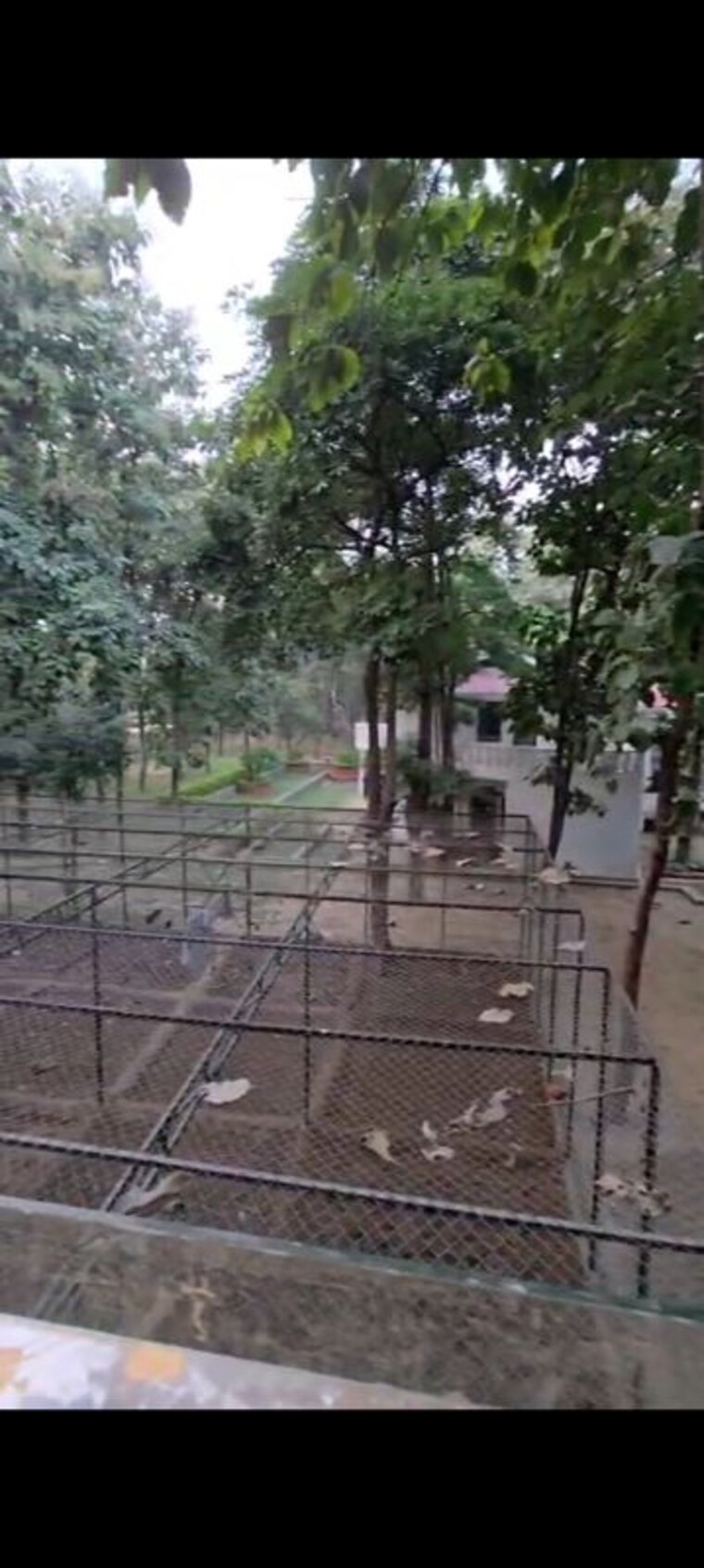 Balcony, risland-sky-mansion 4 Bedroom 1400 Sq.Ft. Builder Floor In Chattarpur Delhi 10710298