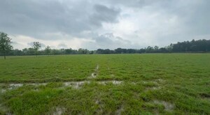  Plot For Sale in Bilari