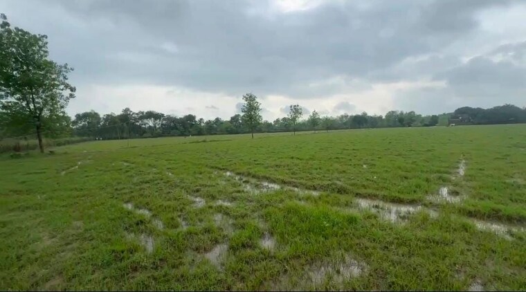 Exterior View, bilari  200 Sq.Yd. Plot In Bilari Moradabad 10710308