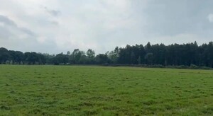  Plot – Exterior View View at Bilari - for Sale