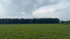  Plot – Exterior View View at Bilari - for Sale