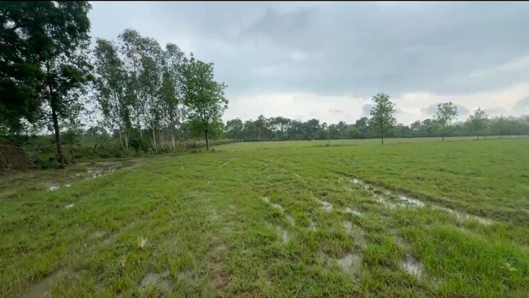 Exterior View, bilari  200 Sq.Yd. Plot In Bilari Moradabad 10710308