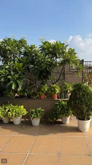 4 BHK Builder Floor – Garden View at Panchsheel Park - for Rent