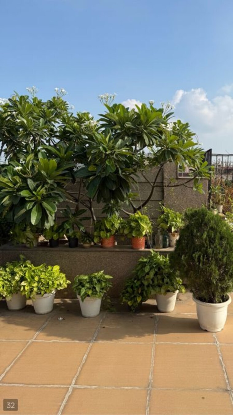 Garden, panchsheel park 4 Bedroom 2740 Sq.Ft. Builder Floor In Panchsheel Park Delhi 10710547