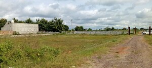 Plot Area in  Plot at Bambawar – for Sale