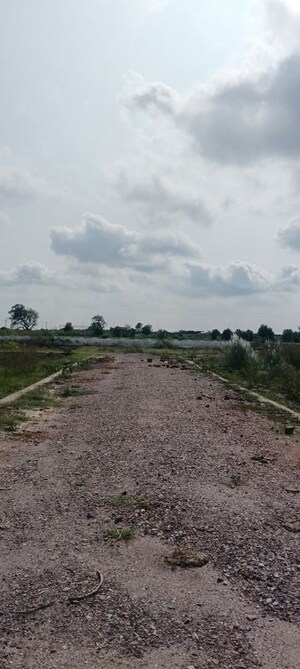Plot Area in  Plot at Bambawar – for Sale