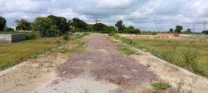  Plot For Sale in Bambawar