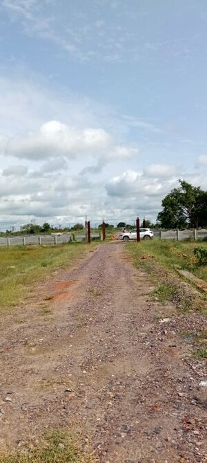 Plot Area in  Plot at Bambawar – for Sale
