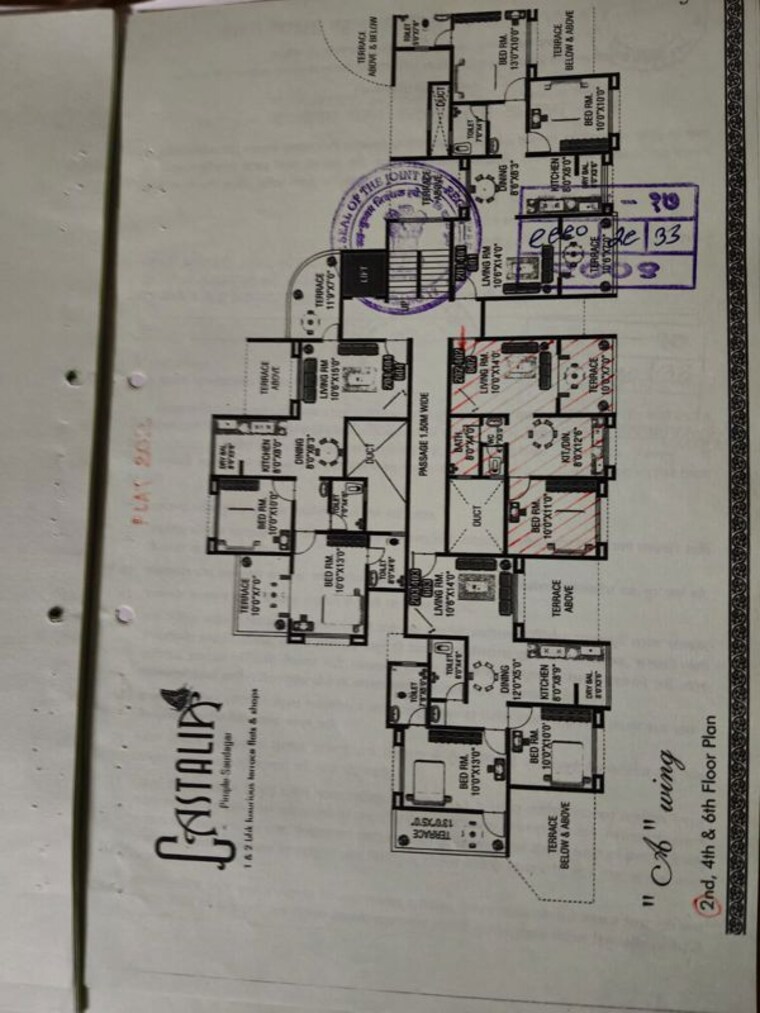 Floor Plan, castalia-apartment 1 Bedroom 490 Sq.Ft. Apartment In Pimple Saudagar Pune 10710732