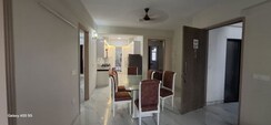 1 BHK +Builder Floor For Rent in Sector 23