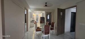 1 BHK Builder Floor For Rent in Sector 23