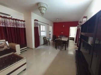 3 BHK Apartment For Rent in Orris Aster Court in Sector 85, Gurgaon