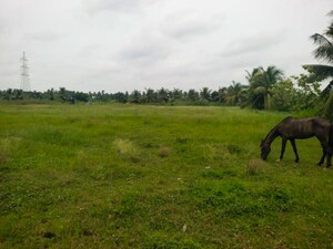 Plot Area in  Independent House at Vattigudipadu – for Sale