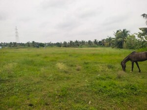   Independent House at Vattigudipadu – for Sale