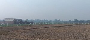 Plot Area in  Plot at Sohna – for Sale