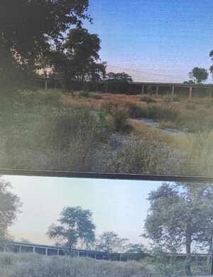 Plot Area in  Land at Multania Road – for Sale