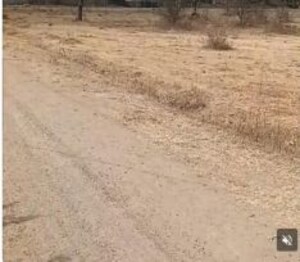  Industrial Plot For Sale in Hussani Bagh