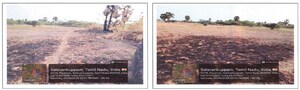  Land For Sale in Chengalpattu