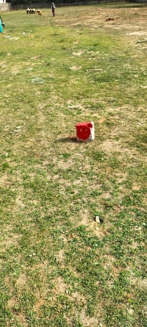 Plot Area in  Land at Arepalle – for Sale