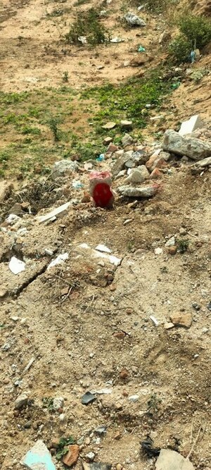 Plot Area in  Land at Arepalle – for Sale