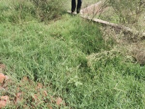 Plot Area in  Plot at Bhago Majra Road – for Sale