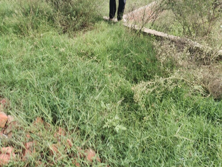 undefined, bhago majra road  110 Sq.Yd. Plot In Bhago Majra Road Kharar 10711706