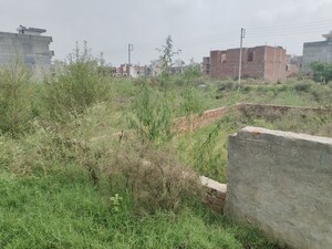 Plot Area in  Plot at Bhago Majra Road – for Sale