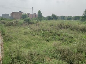 Plot Area in  Plot at Bhago Majra Road – for Sale
