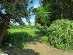 4249 Sq.Mt. Plot in Taloja