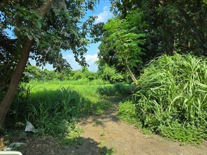  Plot For Sale in Taloja